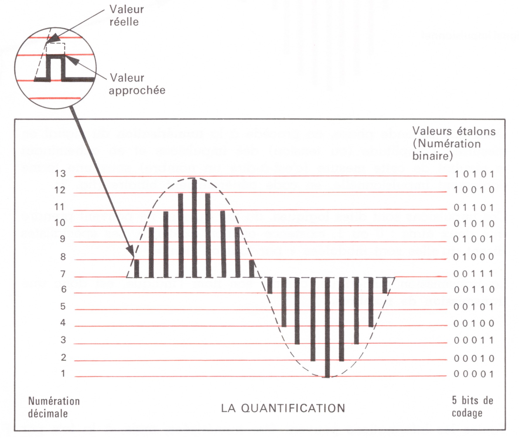MicQuantification